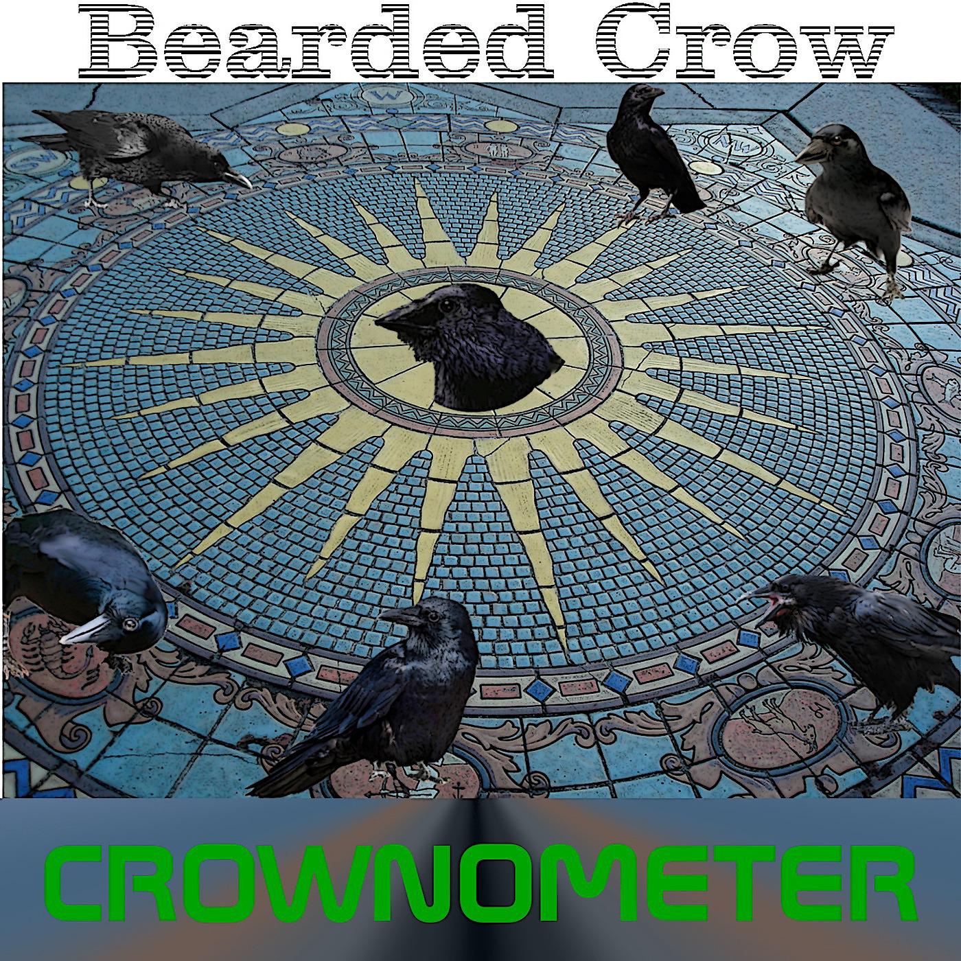 Постер альбома Crownometer
