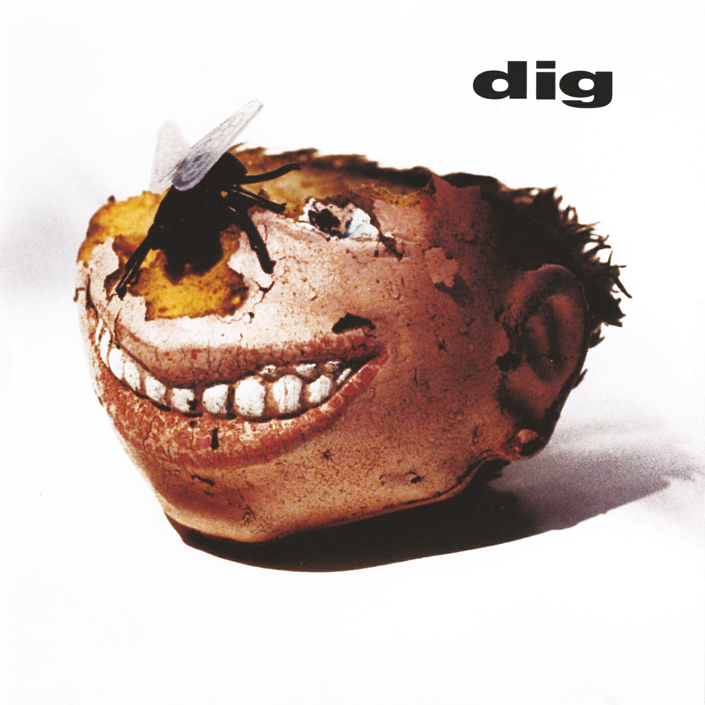 DIG - Conversation