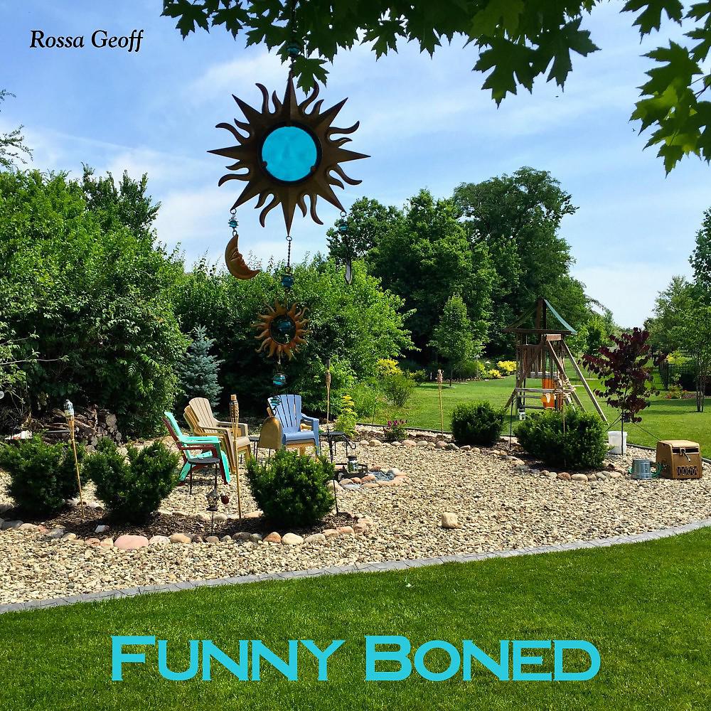Постер альбома Funny Boned