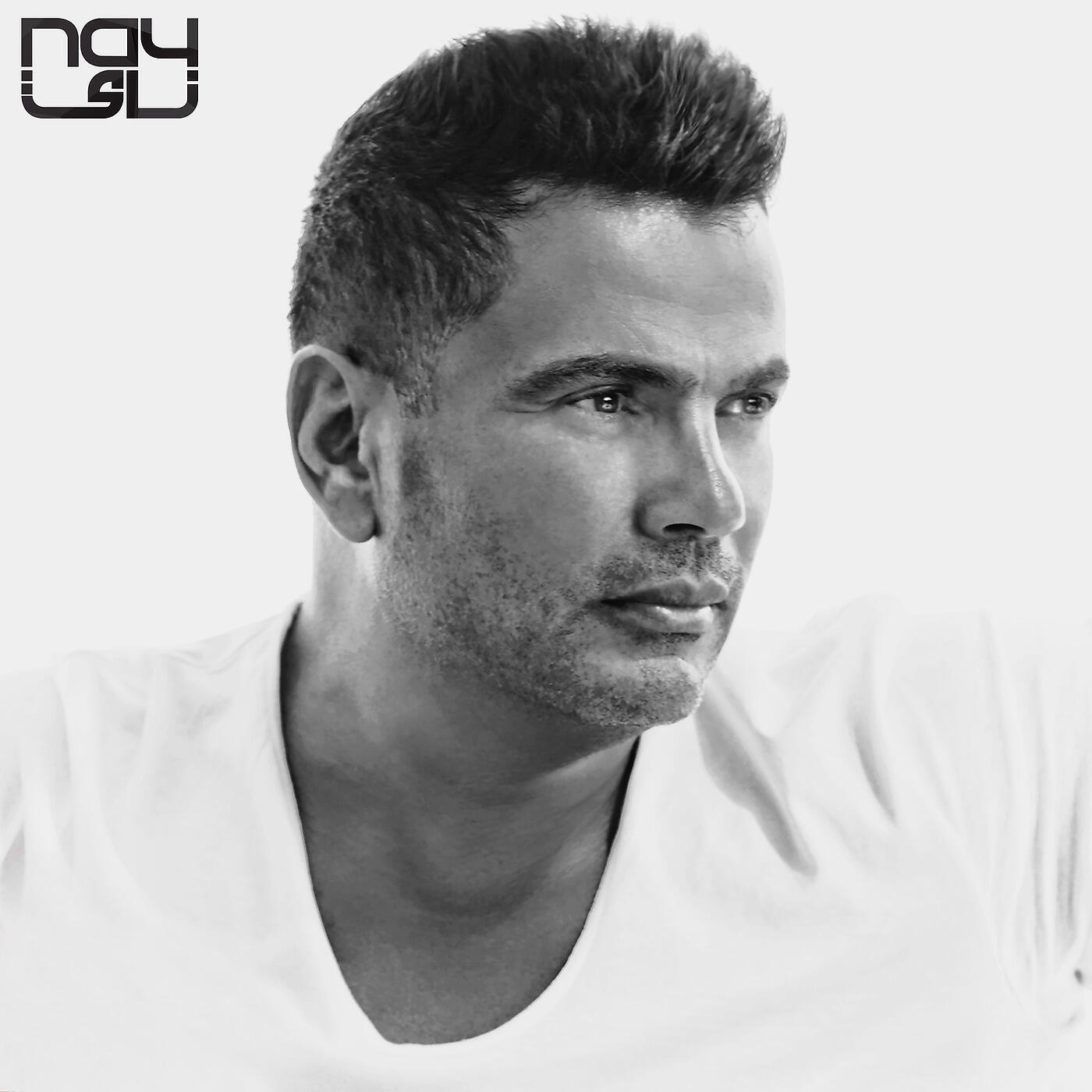 Amr Diab - El Farha El Leila