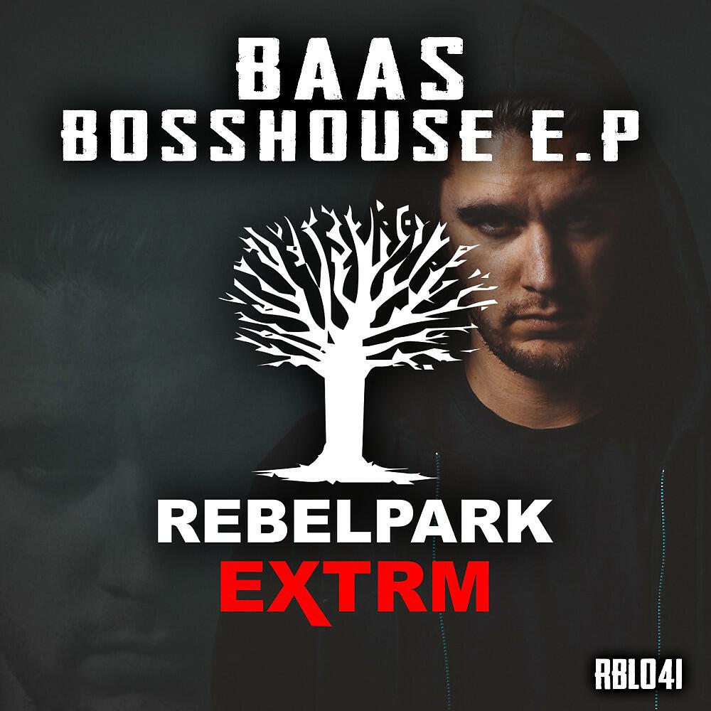 BAAS - All the Bad Bitches