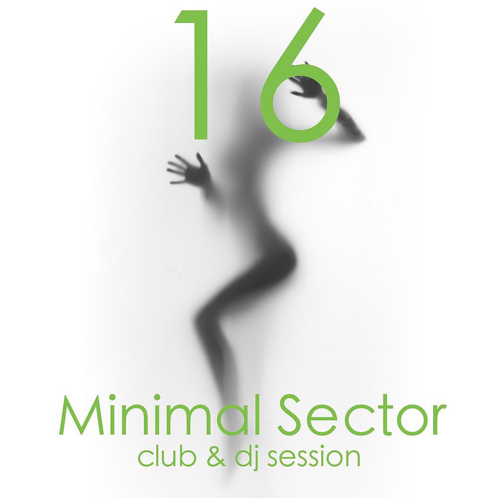 Постер альбома Minimal Sector, Vol. 16 (Club & DJ Session)