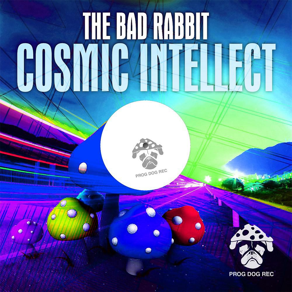 Постер альбома Cosmic Intellect