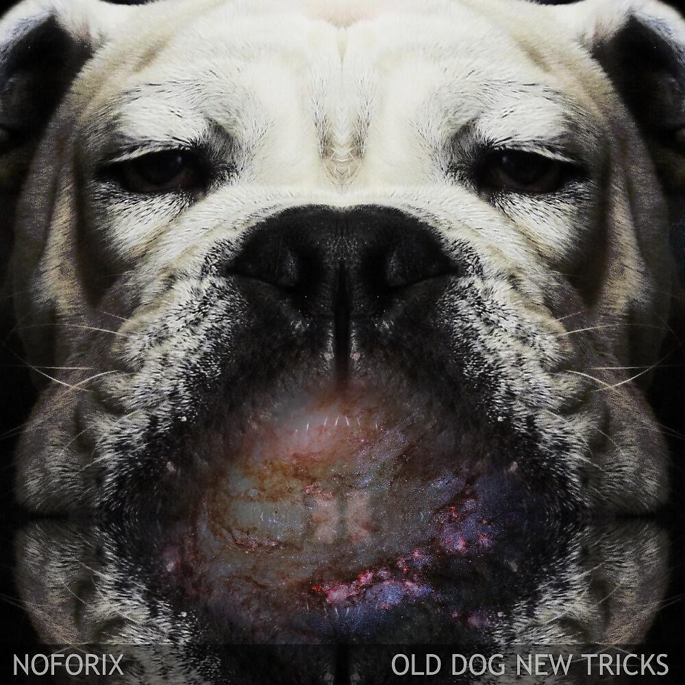 Noforix - Psykka
