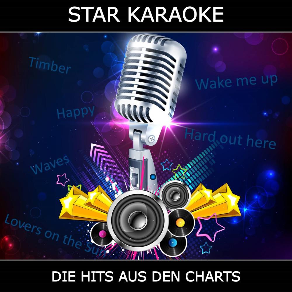 Постер альбома Star Karaoke - Die Hits aus den Charts