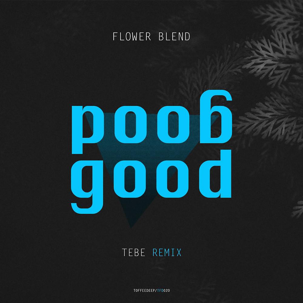 Постер альбома Good Good (Tebe Remix)