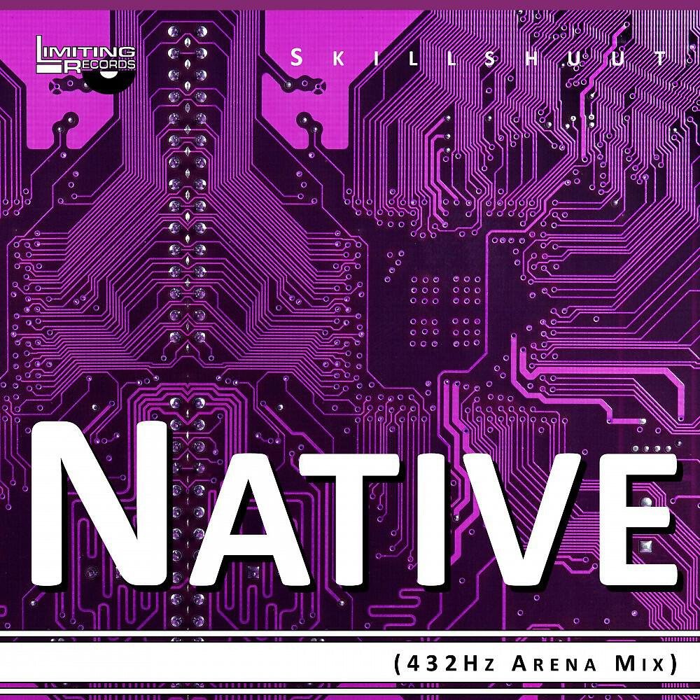 Skillshuut - Native (432Hz Arena Mix)