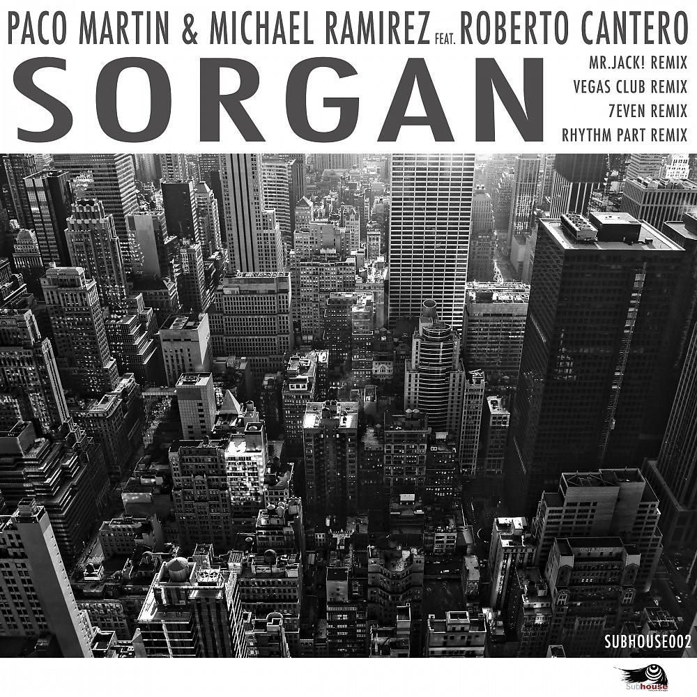 Постер альбома Sorgan