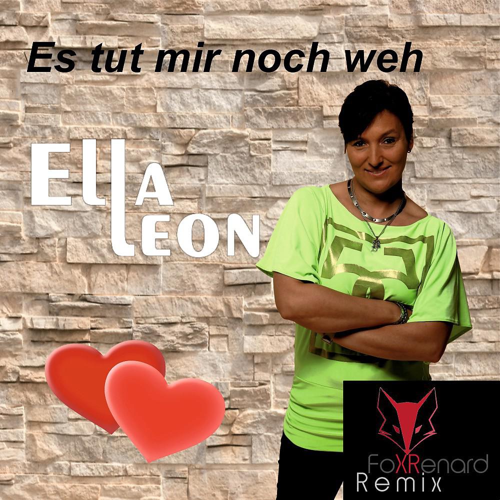 Постер альбома Es tut mir noch weh (Fox Renard Remix)