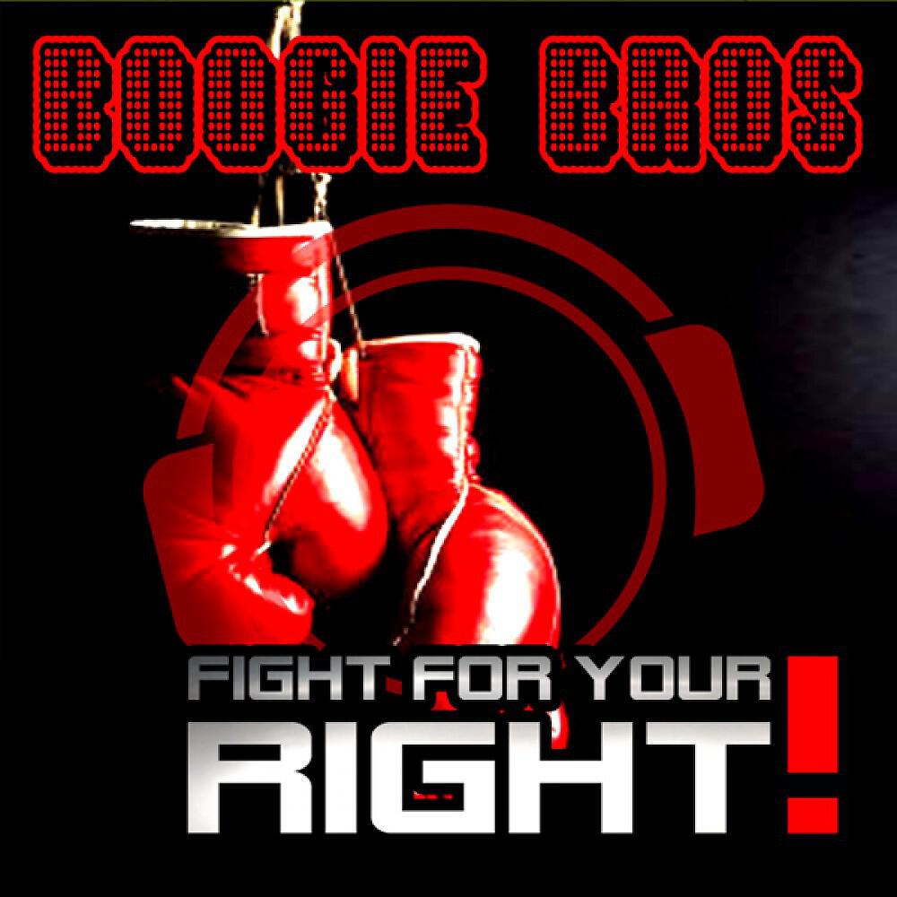 Boogie Bros - Fight For Your Right (Dave Winnel Remix Edit)