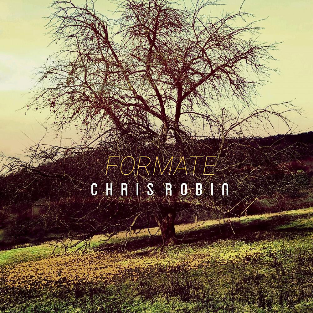 Chris Robin - Formate (Adam Schock Remix)