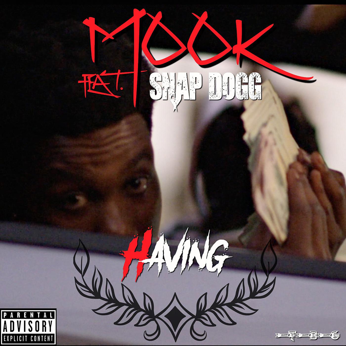 Постер альбома Having (feat. Snap Dogg)