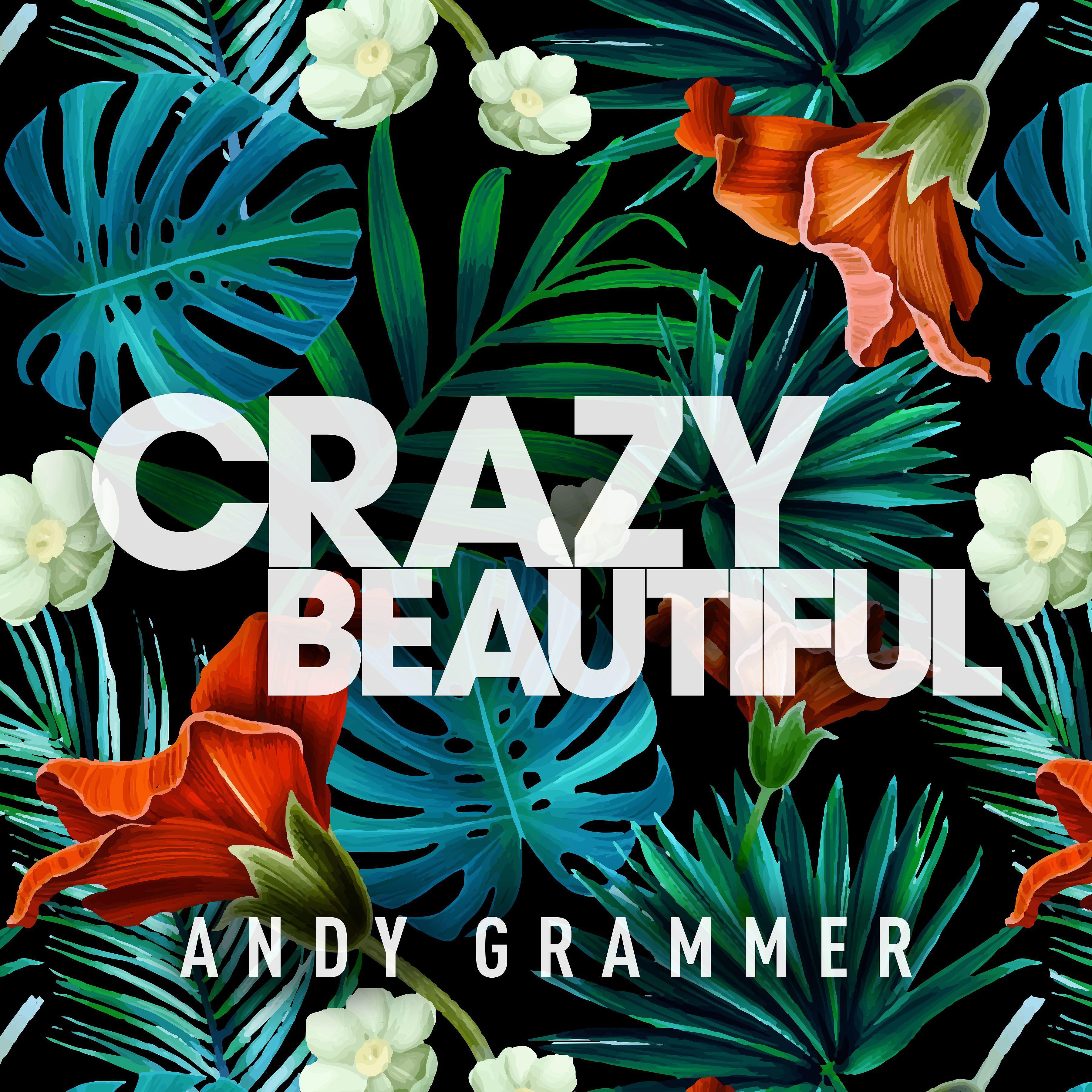Постер альбома Crazy Beautiful EP