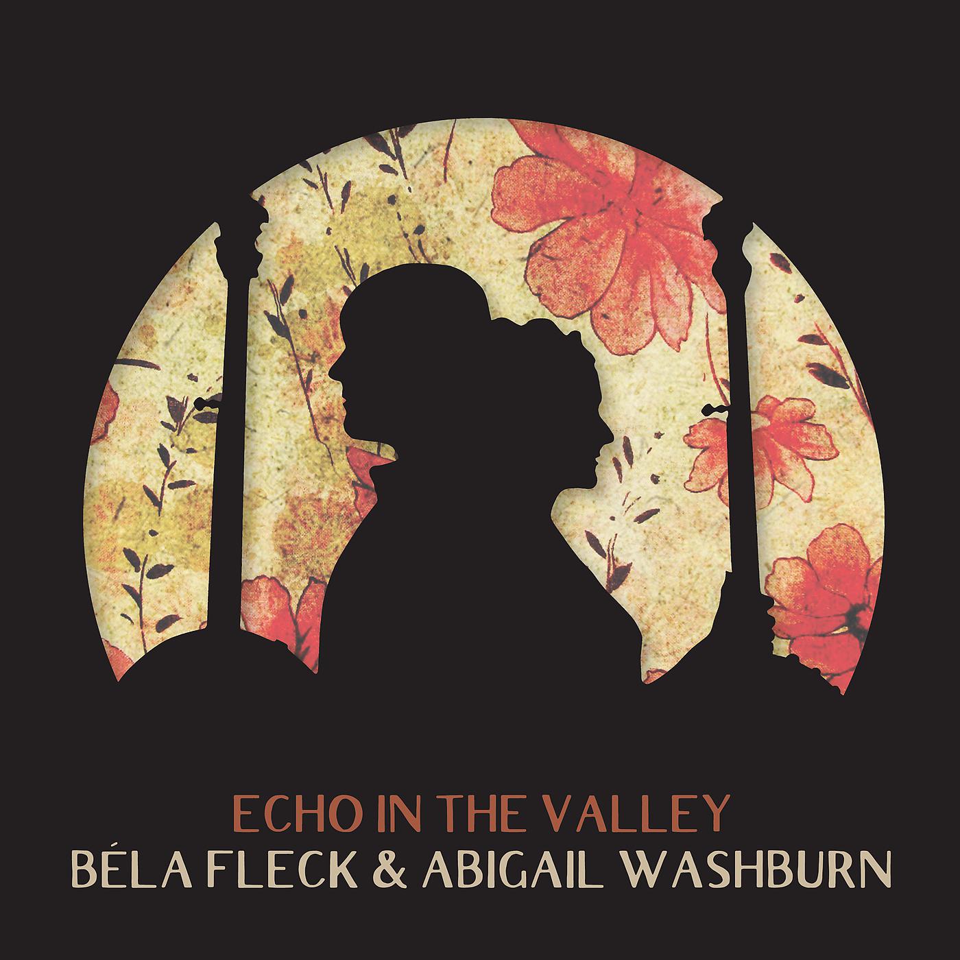 Постер альбома Echo In The Valley