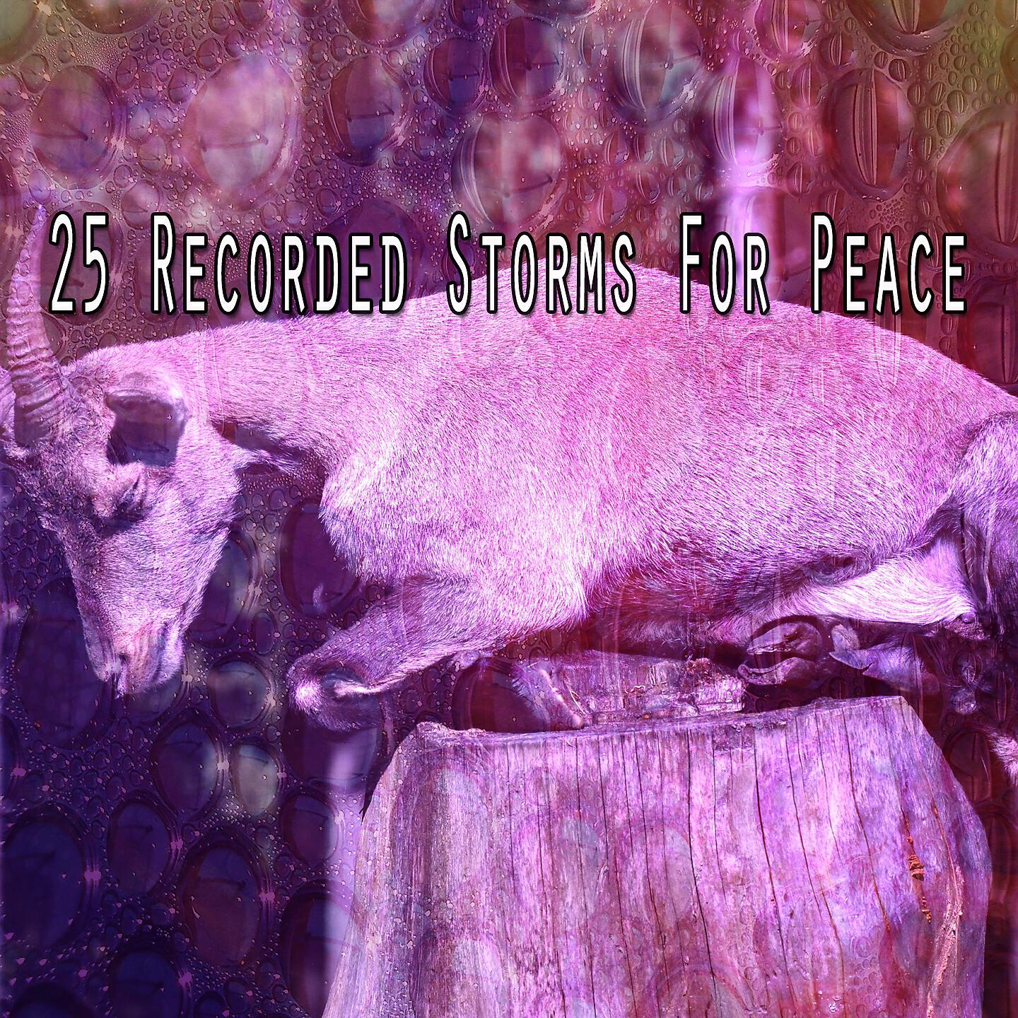 Rain Sounds Nature Collection - Metal Dings While A Storm Rages On