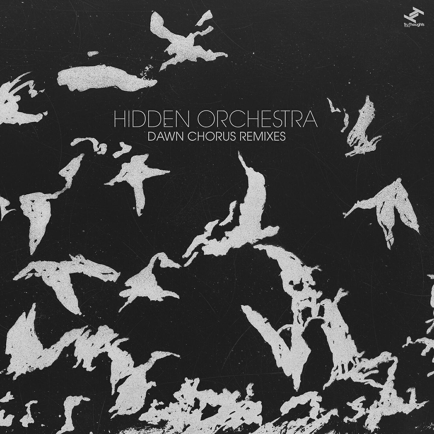 Hidden Orchestra - Long Orchard (The Physics House Band Remix)