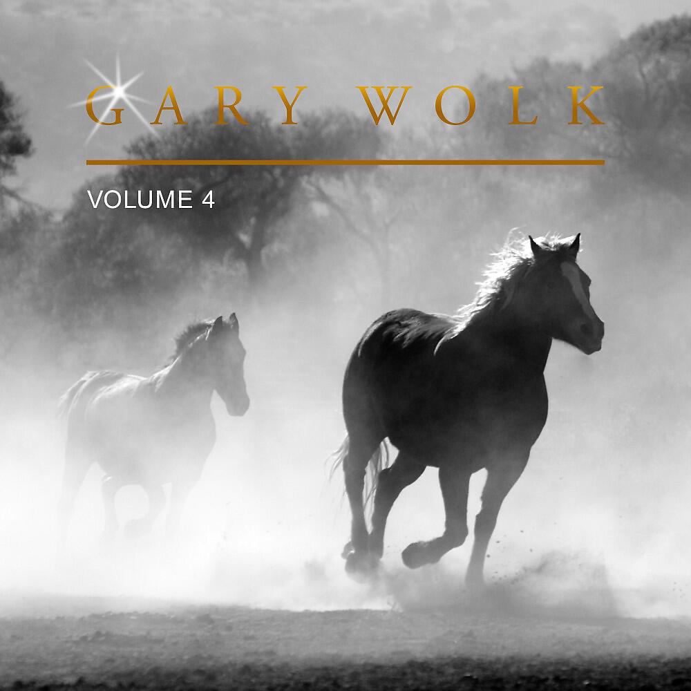 Gary Wolk - One More Look