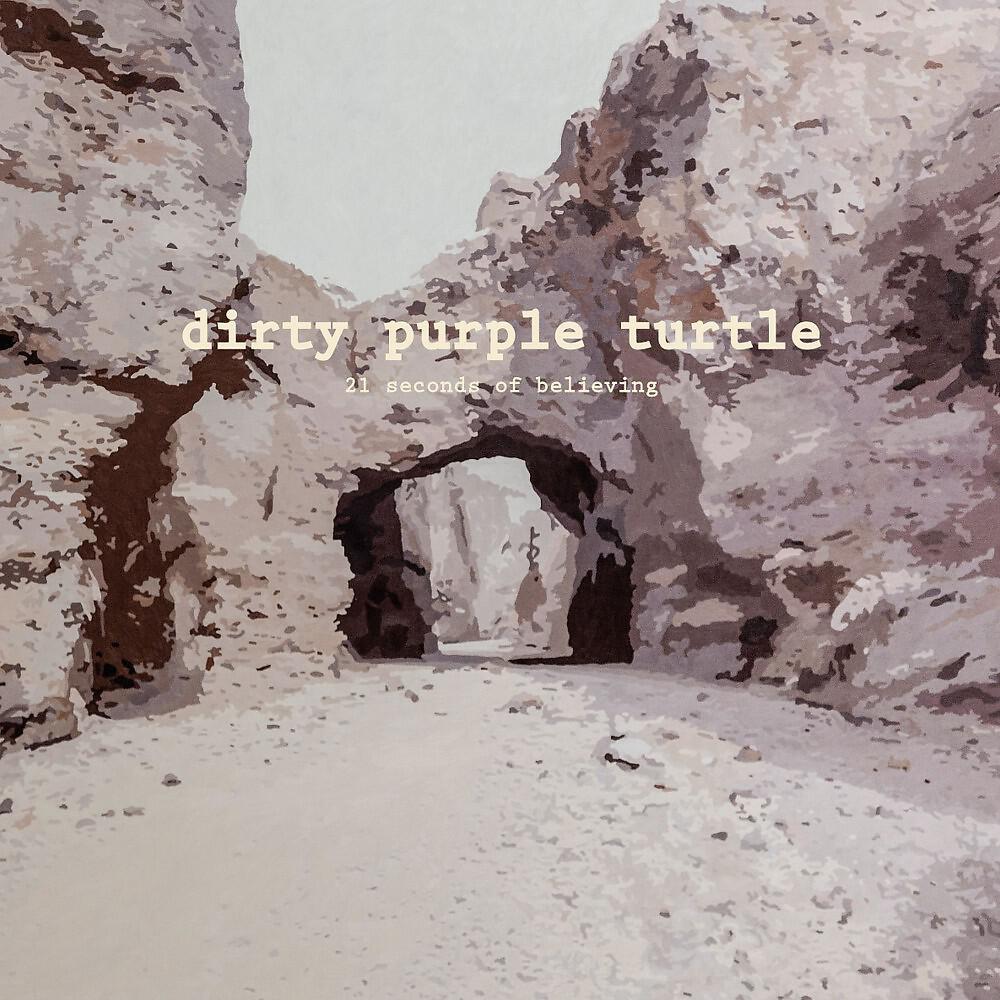 Dirty Purple Turtle - Mirror on the Wall