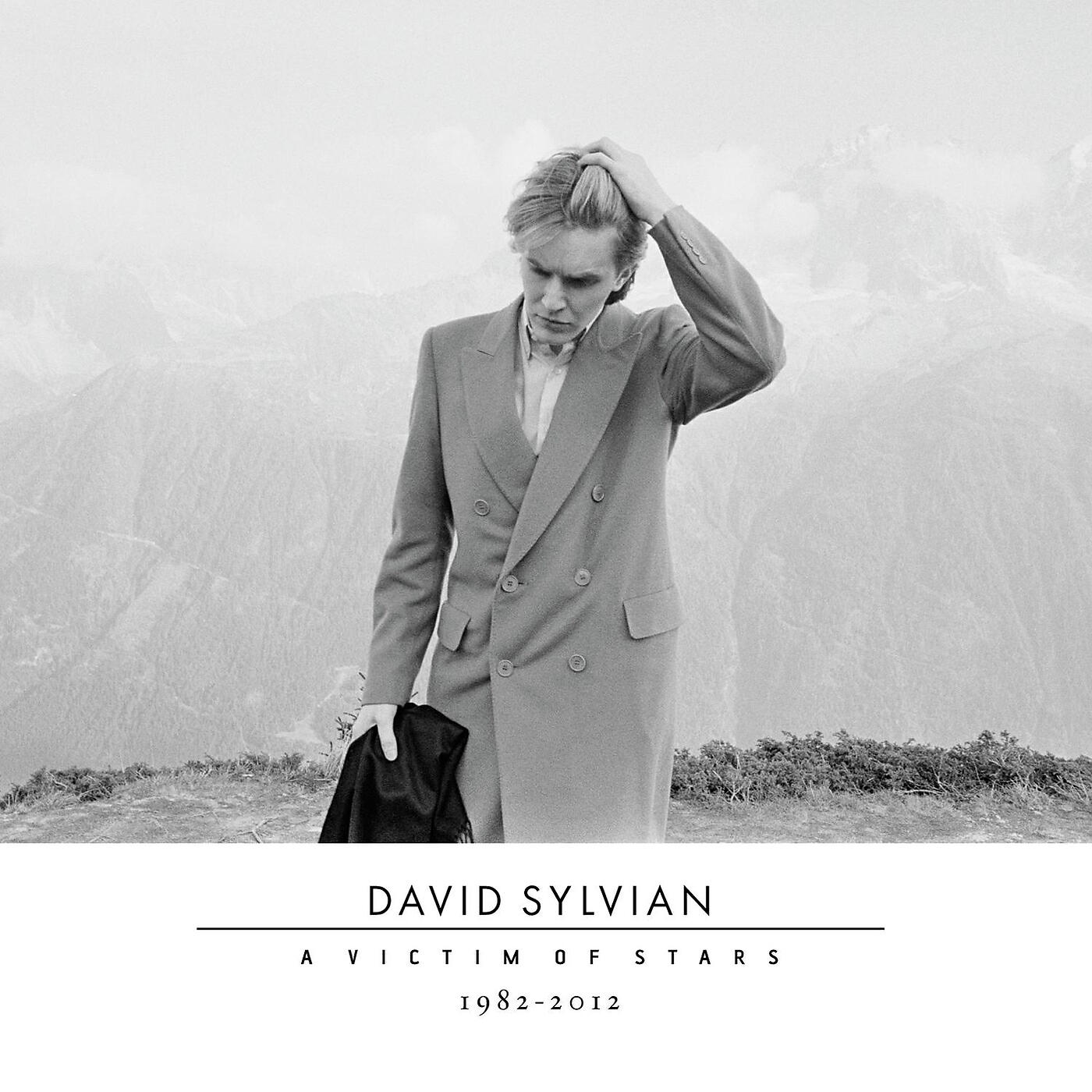 David Sylvian - Let The Happiness In