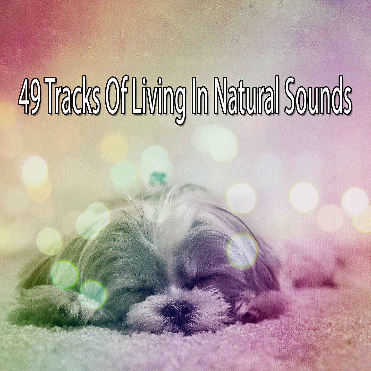 Sleep Sounds Of Nature - White Noise Waves