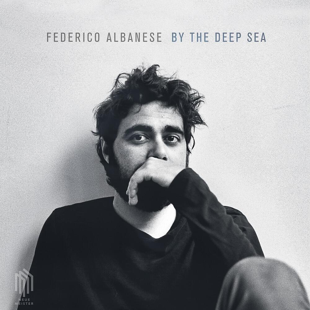 Federico Albanese - Minor Revolt