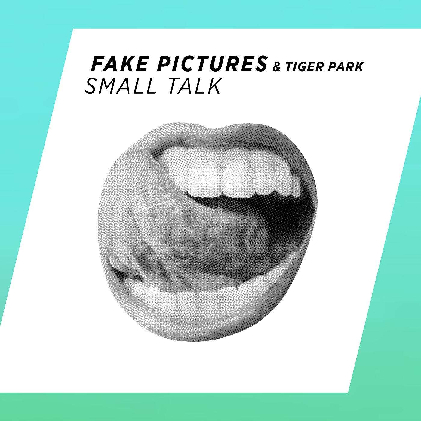 Fake Pictures - Small Talk