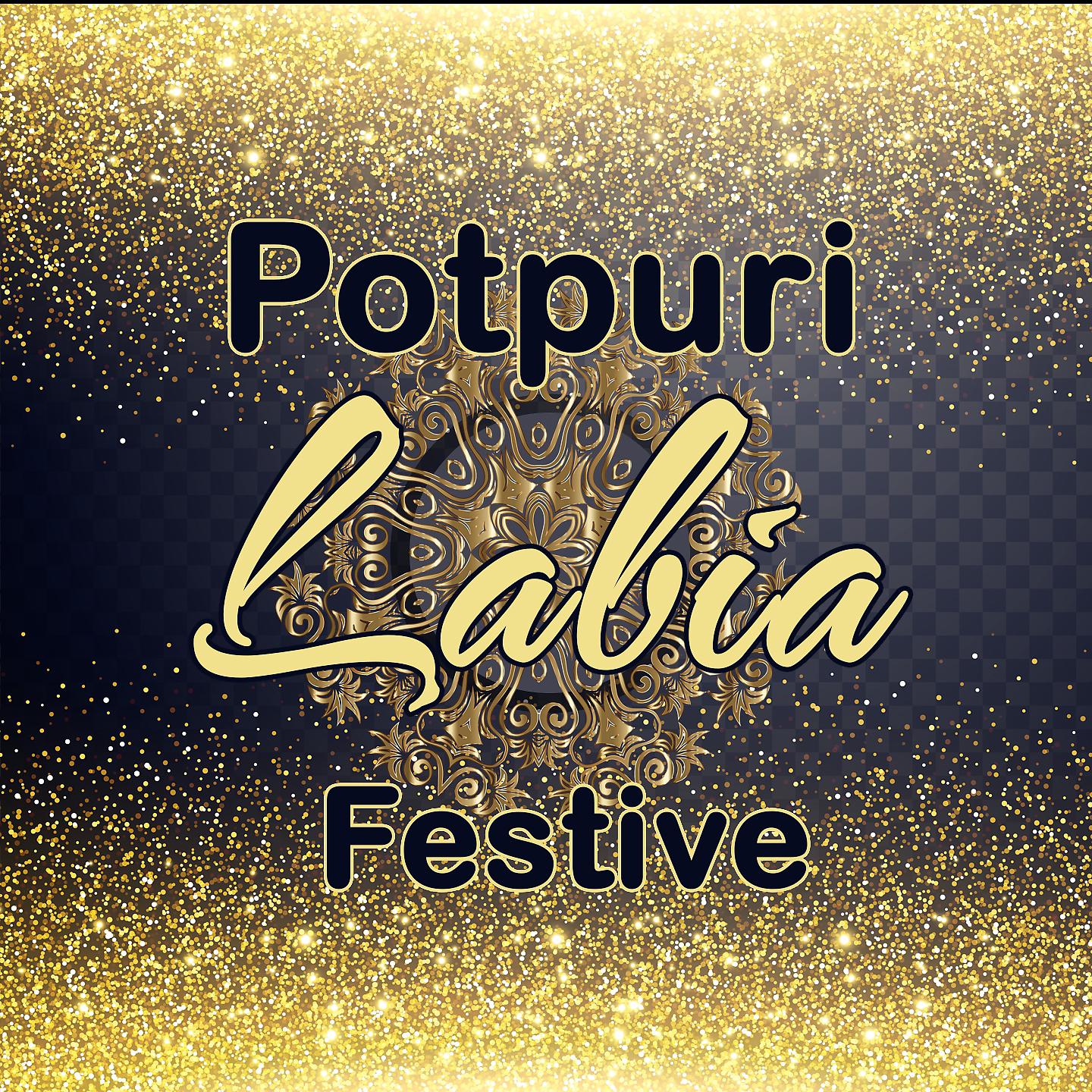 Постер альбома Potpuri Labia Festive
