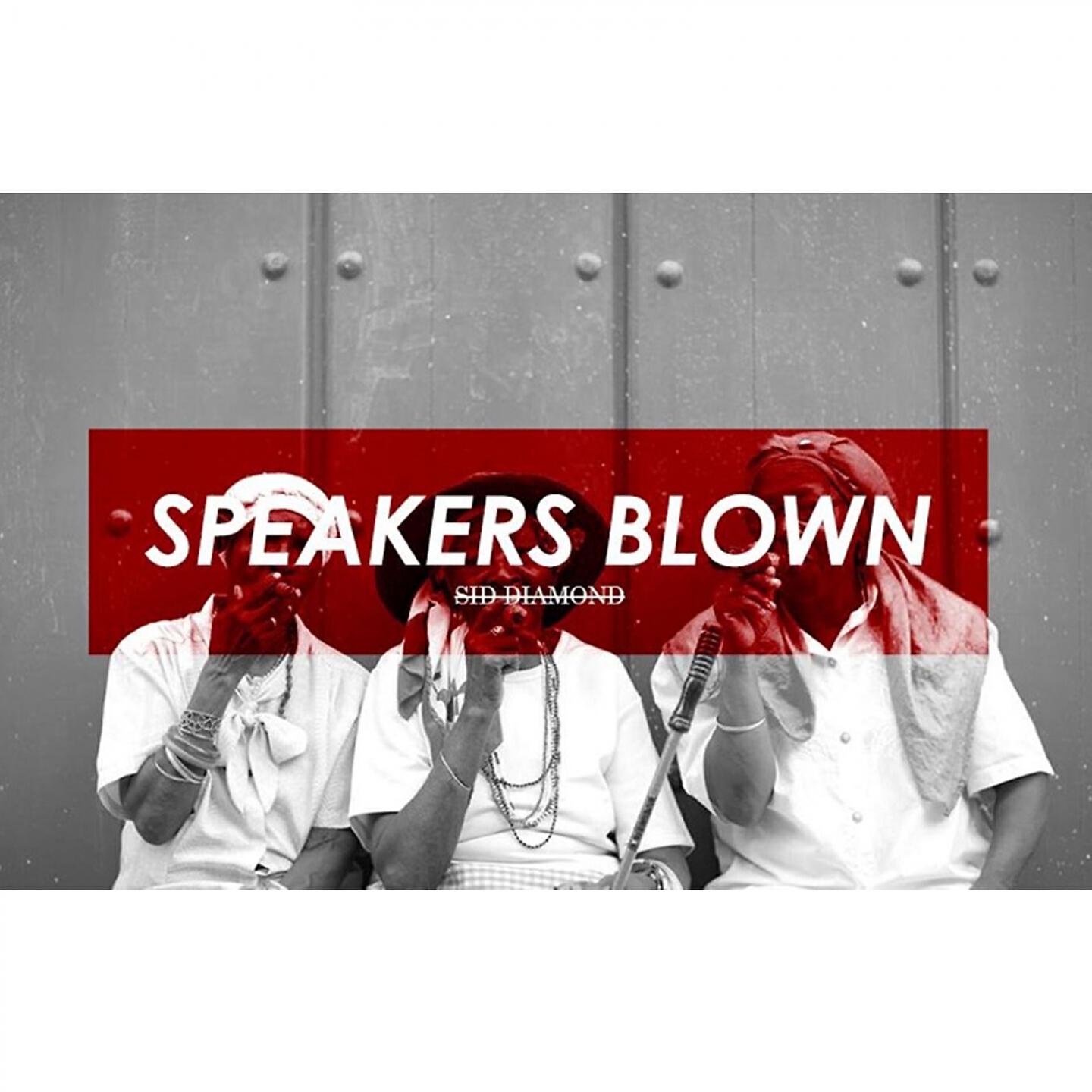 Sid Diamond - Speakers Blown