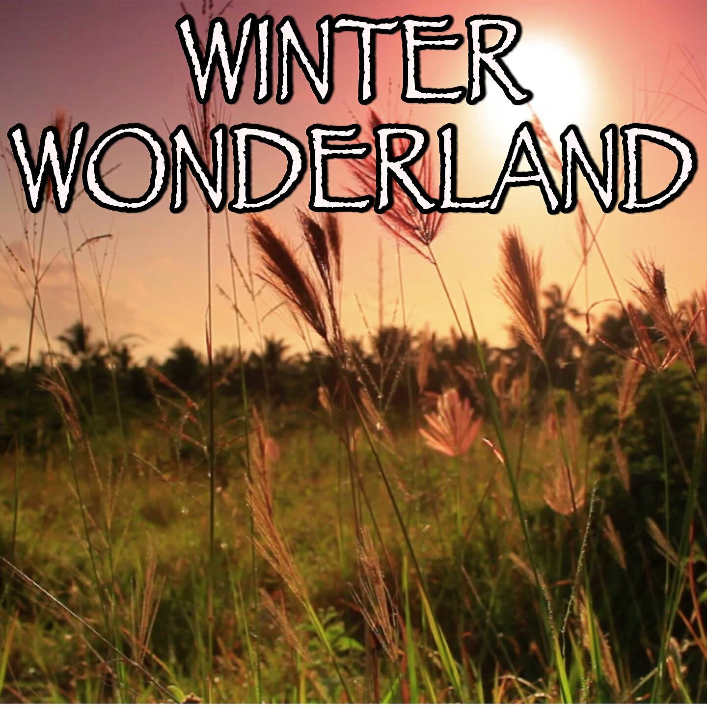 2017 Billboard Masters - Winter Wonderland - Tribute to Michael Buble (Instrumental Version)
