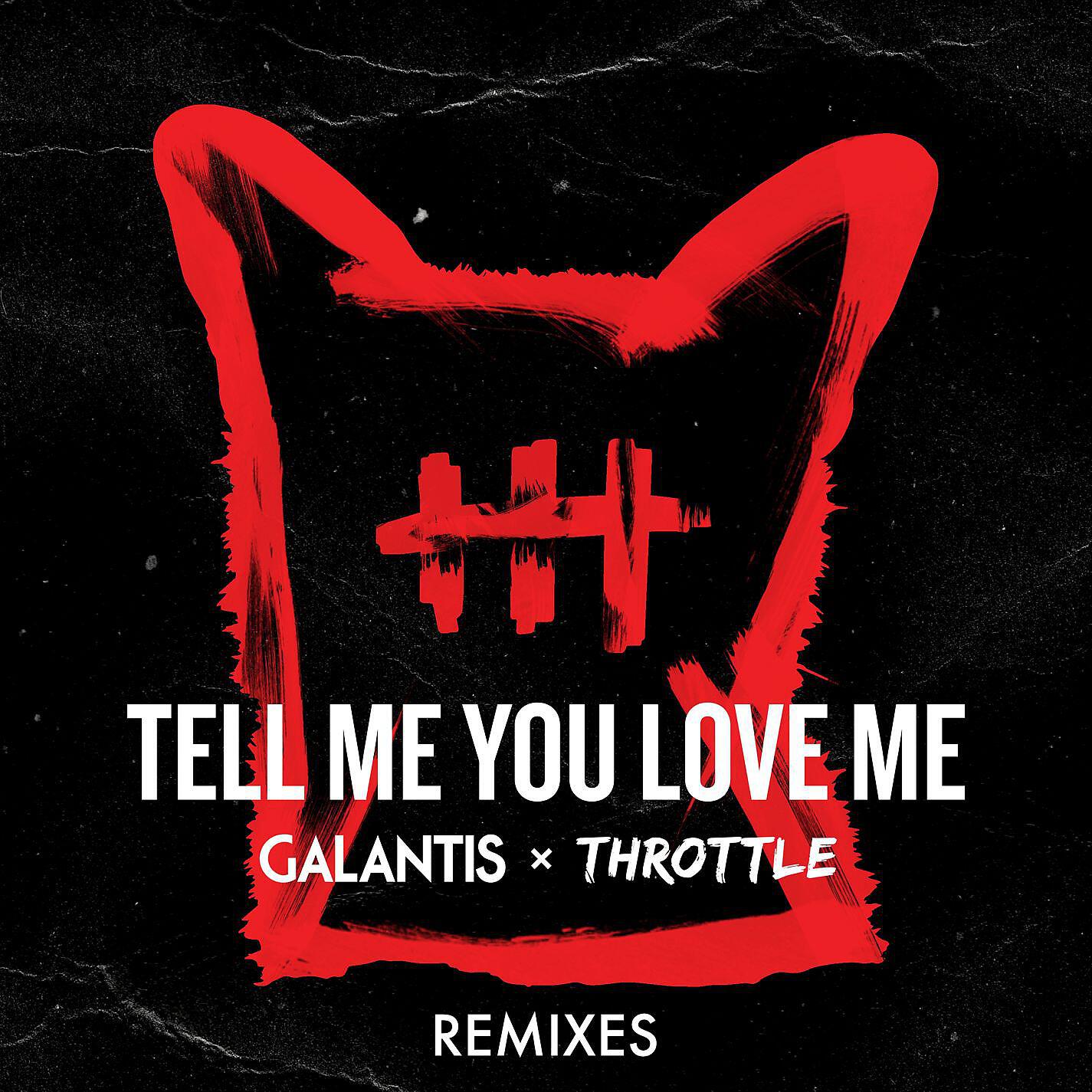Galantis - Tell Me You Love Me (Michael Feiner Remix)