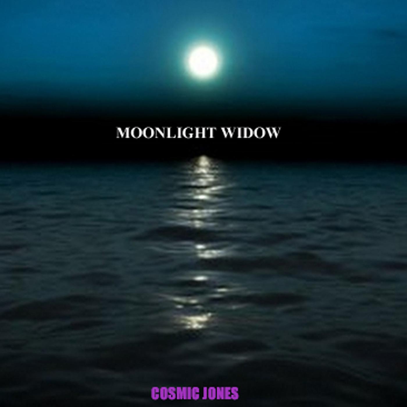Постер альбома Moonlight Widow