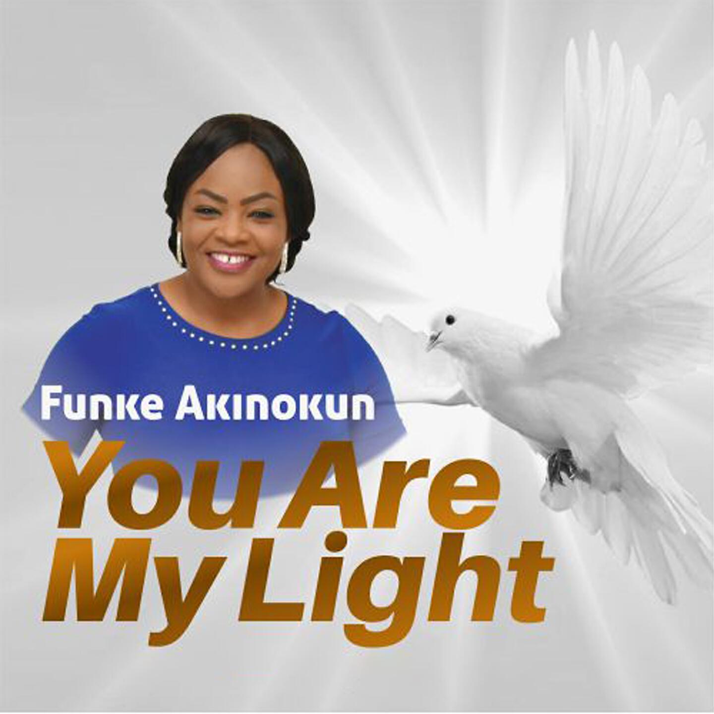 FUNKE AKINOKUN - You Are My Light