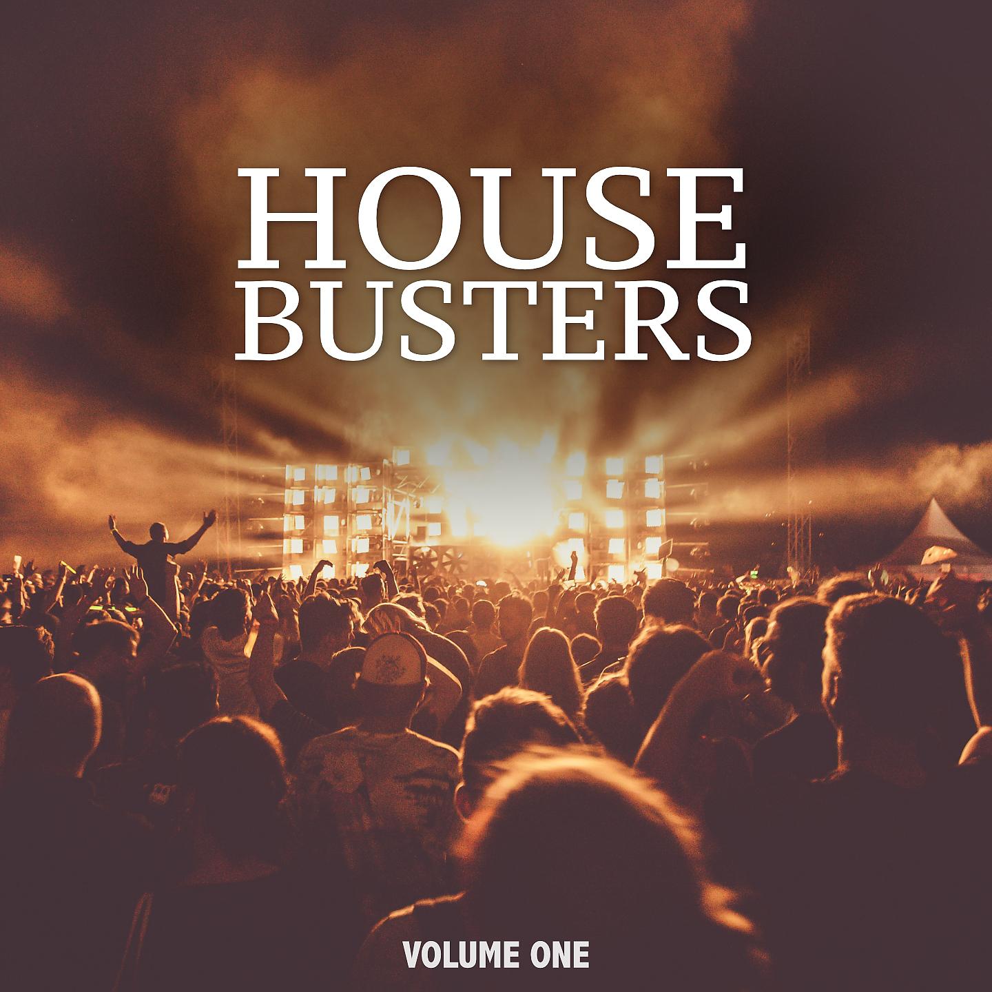 Постер альбома House Busters, Vol. 1