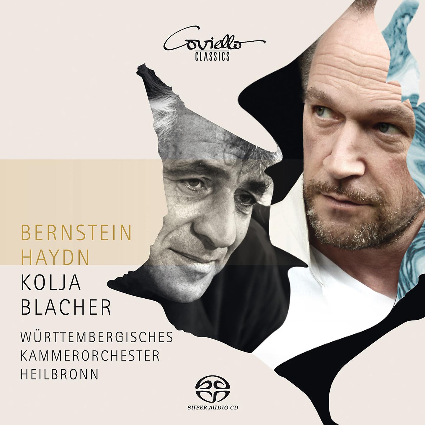 Постер альбома Bernstein - Haydn