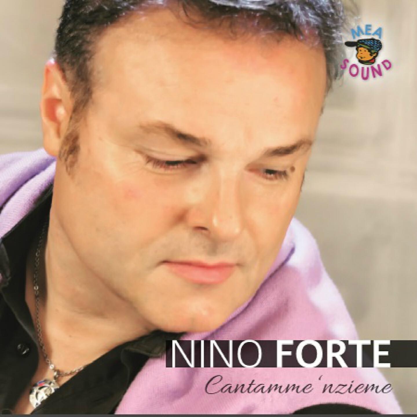 Nino Forte - Stamme cca