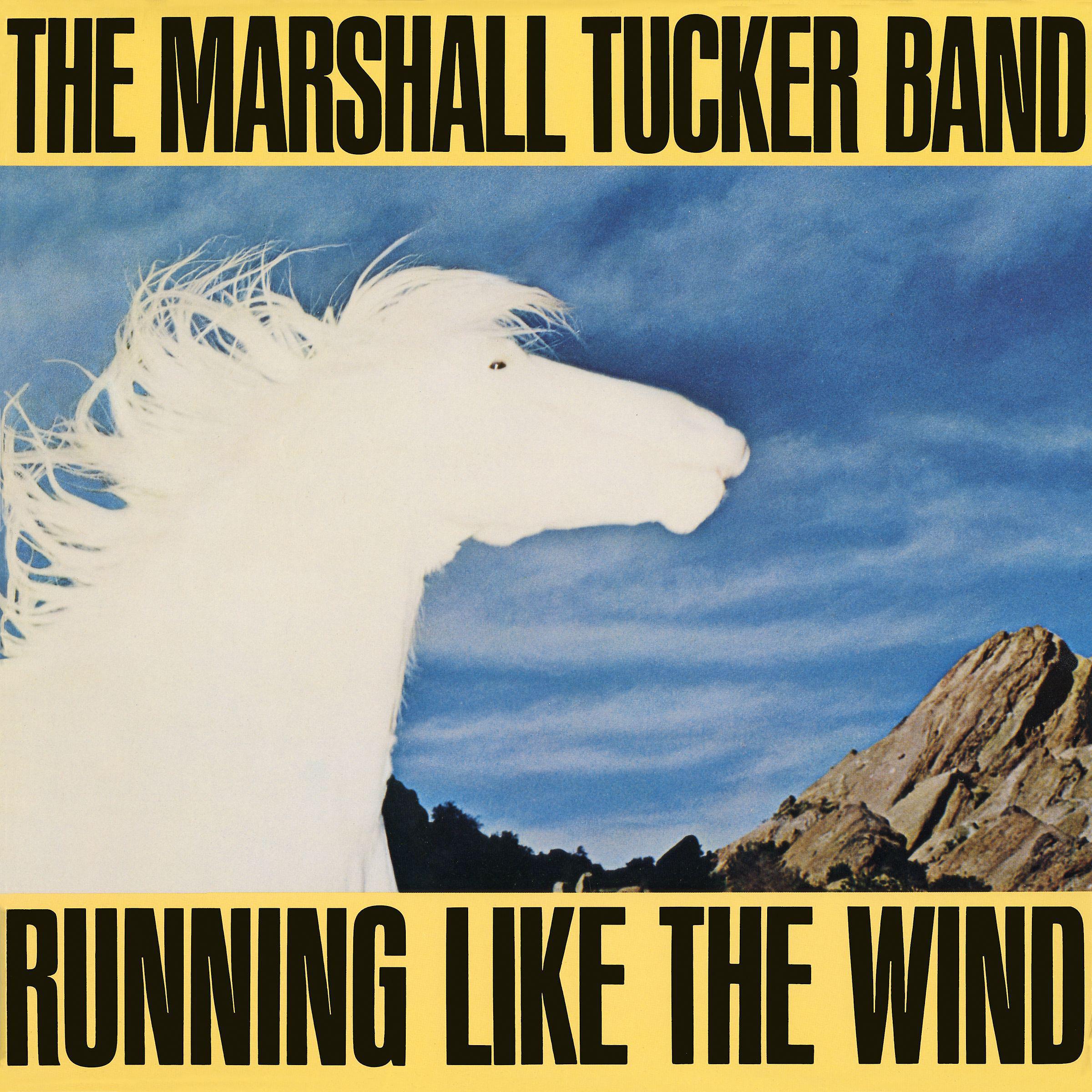 Постер альбома Running Like The Wind