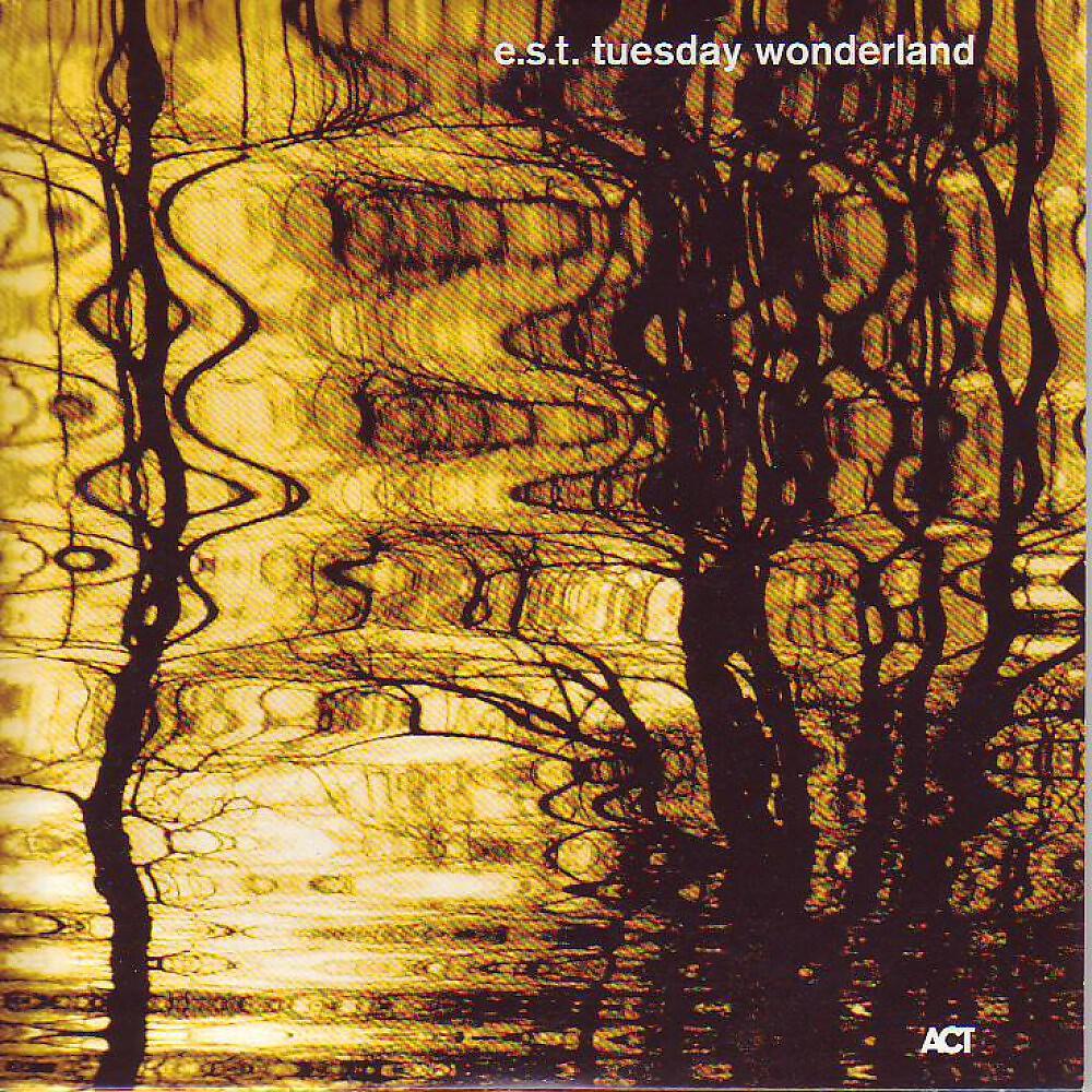 e.s.t. Esbjörn Svensson Trio - The Goldhearted Miner