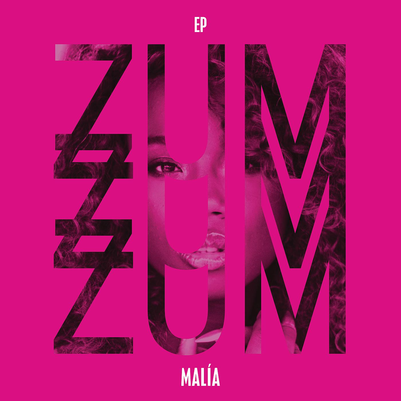 Постер альбома Zum Zum Zum