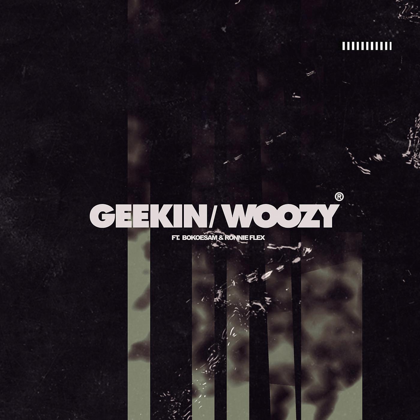 Постер альбома Geekin/Woozy