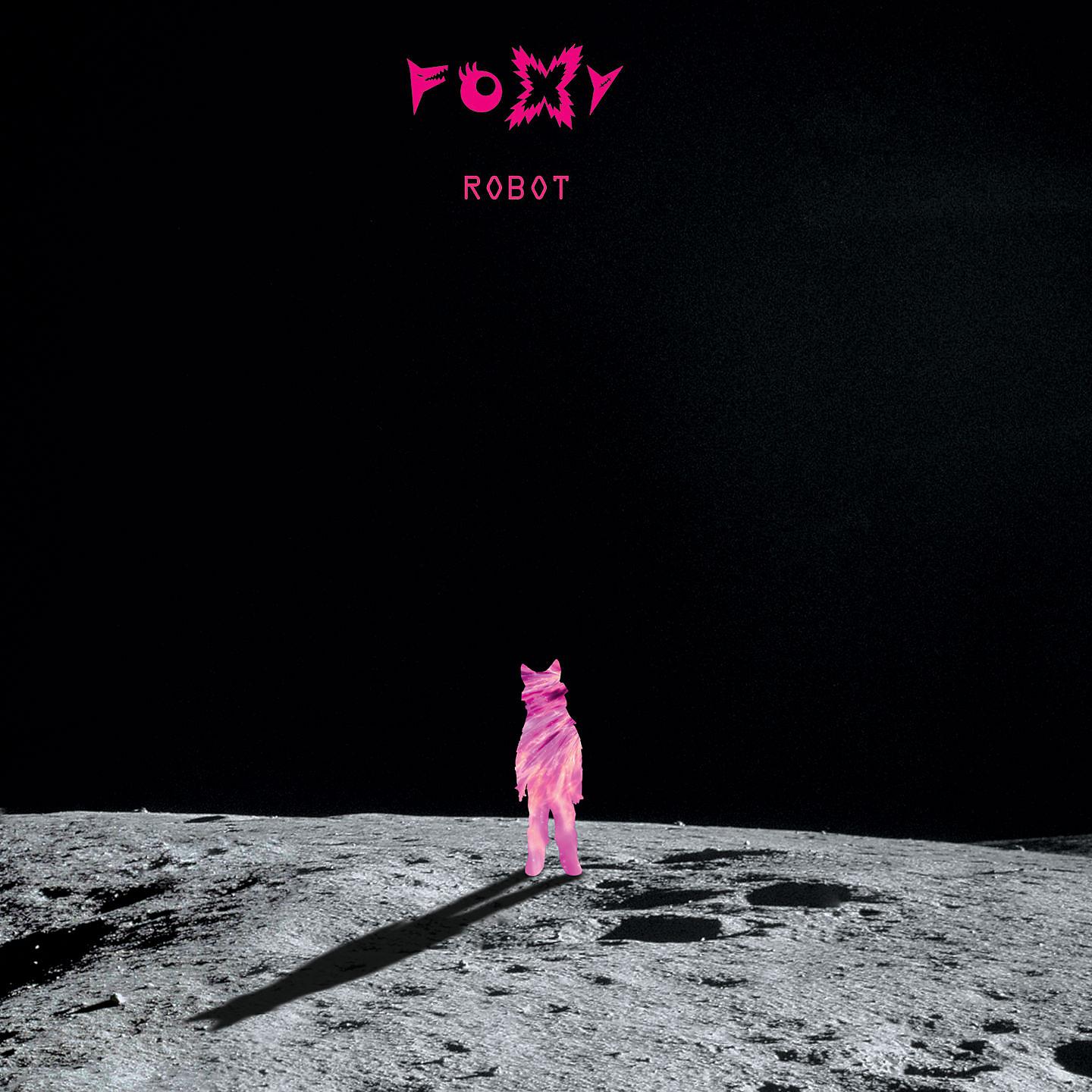 Постер альбома Robot