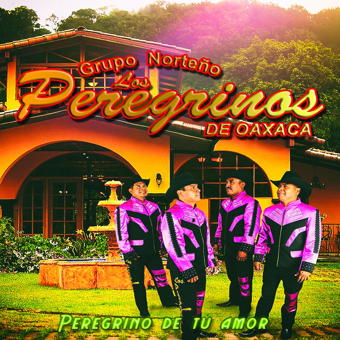 Постер альбома Peregrino de Tu Amor