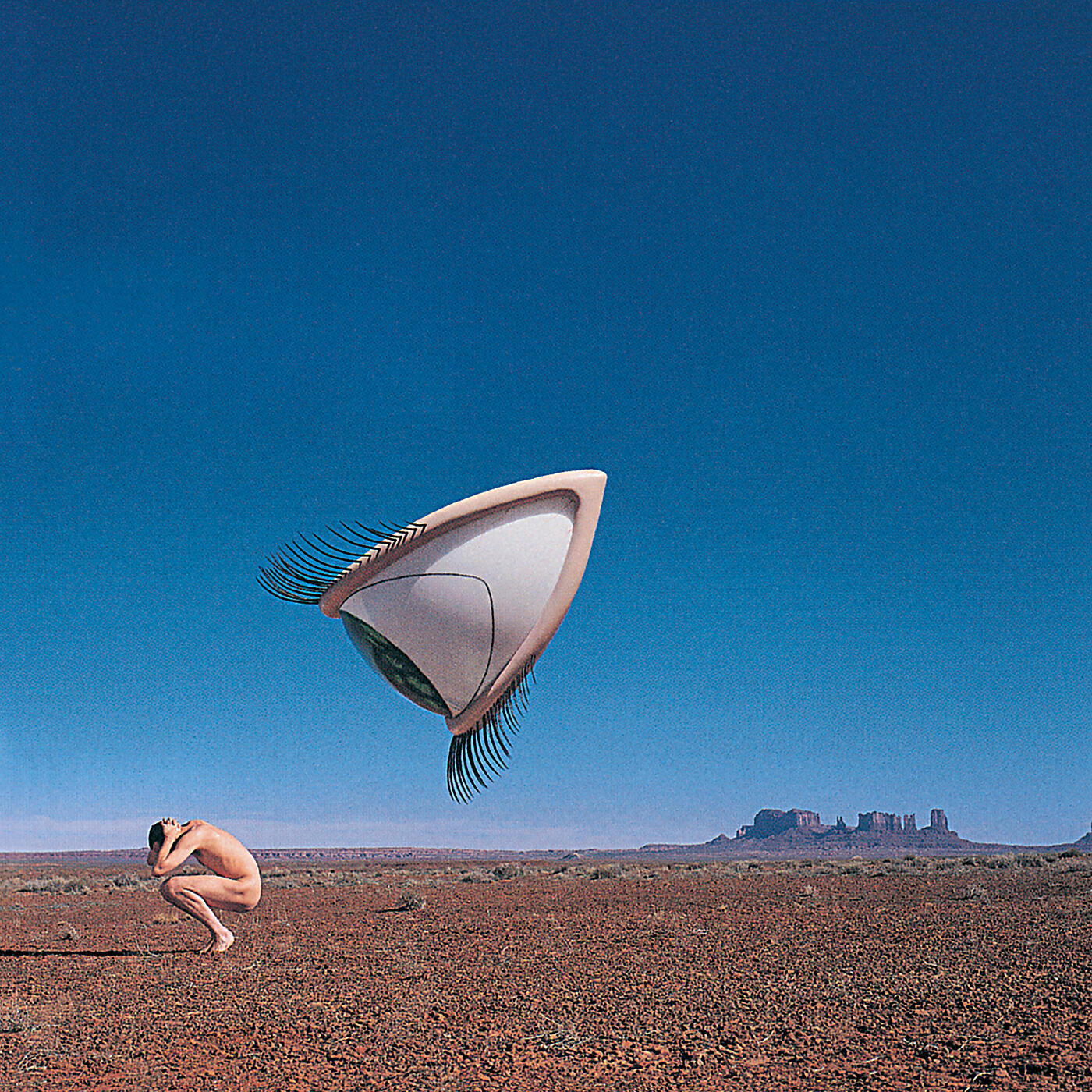 The Cranberries - Animal Instinct
