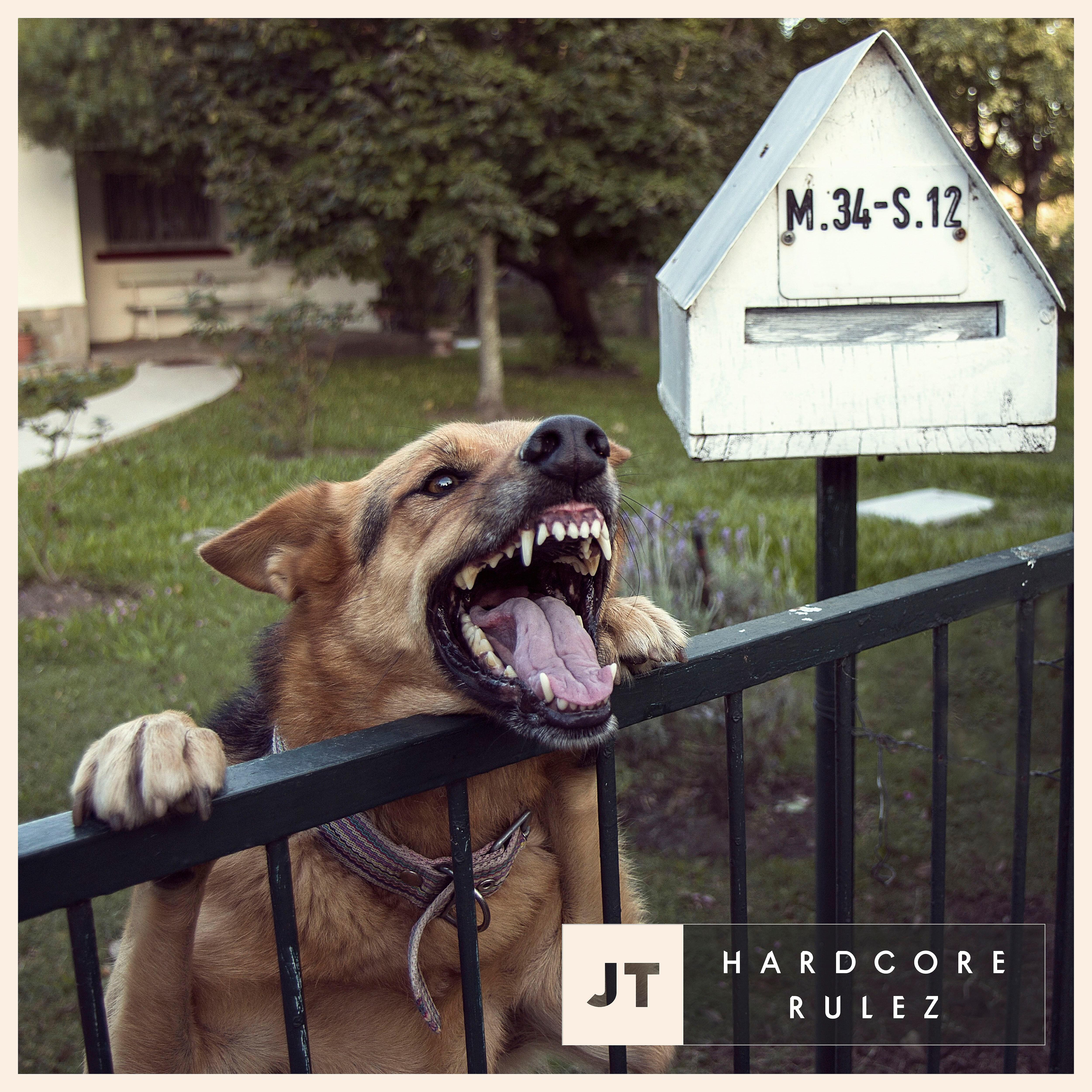 JT - Son Varios Años (feat. Mac Team)