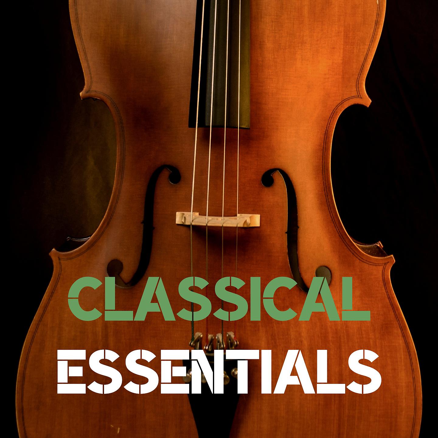 Постер альбома Classical Essentials