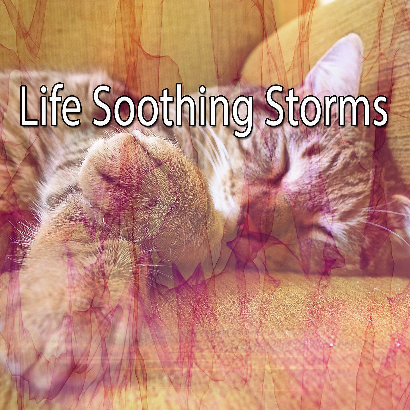 Rain For Deep Sleep - Trickling Rains