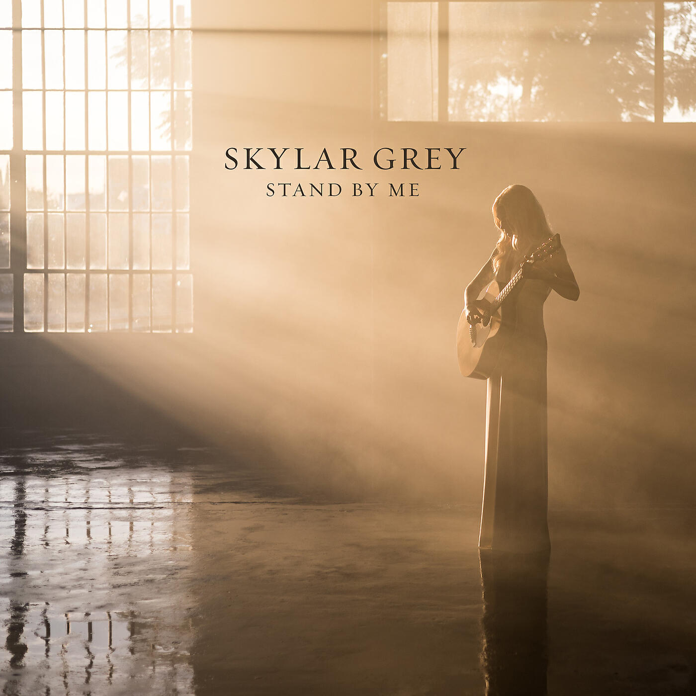Skylar grey песни. Skylar Grey Stand by me. Скайлар грей last one standing. Album Скайлар грей. Skylar Grey albums