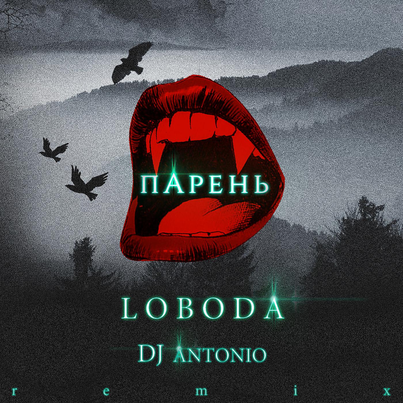 Постер альбома Парень (DJ Antonio remix)