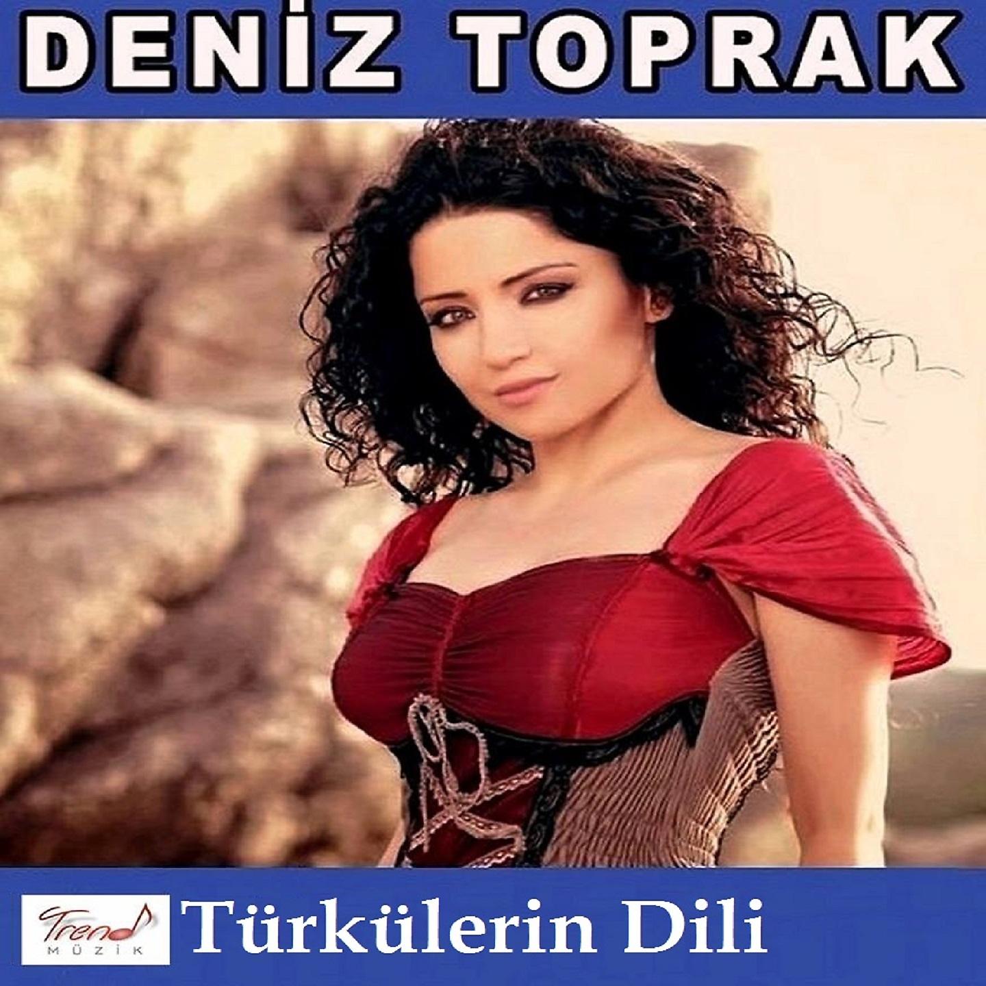 Постер альбома Türkülerin Dili