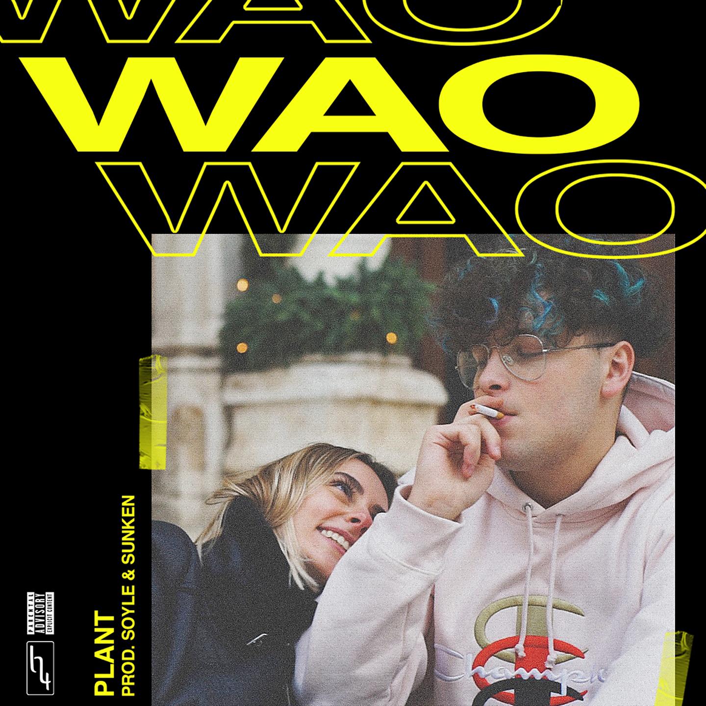 Постер альбома Wao