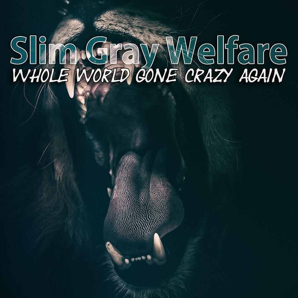 Slim Gray Welfare - Looking for a Party (Rap Hip Hop Drum Track Mix)